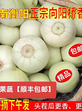 【顺丰包邮】湖南衡阳特产向阳桥香瓜头茬甜瓜新鲜水果小白瓜梨瓜