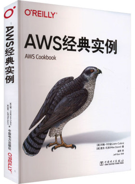 AWS实例 约翰 卡尔金 中国电力出版社9787519889876预售