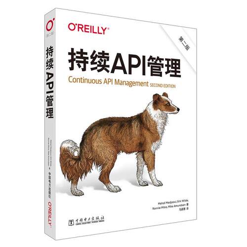 持续API管理 第二版 中国电力出版社9787519891794预售