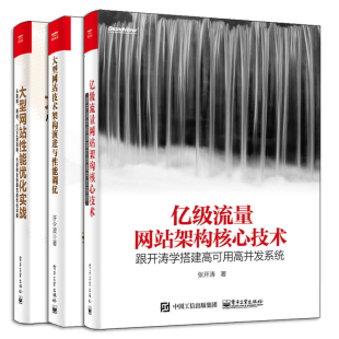 3册 亿 大型网站技术架构演进与性能优化 大型网站性能优化实战 大型网站框架架构开发性能优化图书籍 流量网站架构核心技术