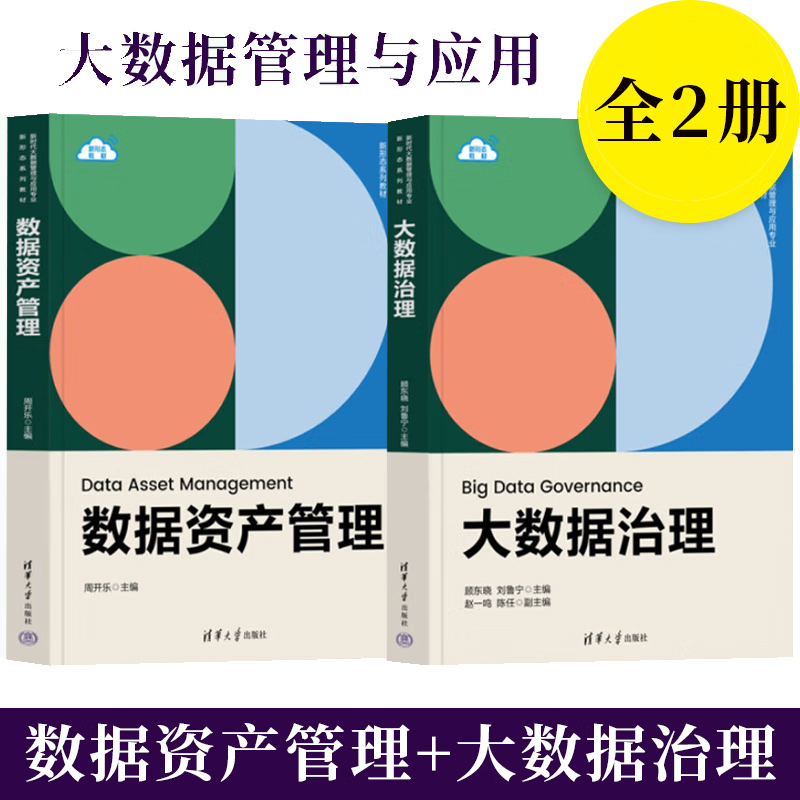 大数据管理与应用教材大数据治理顾东晓刘鲁宁+数据资产管理周开乐清华大学出版社企业管理数据管理-封面