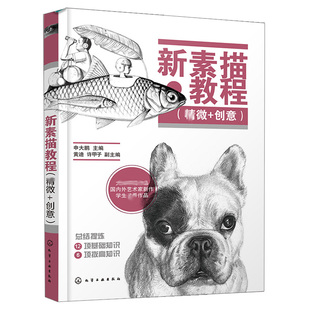申大鹏 黄迪 素描学习修课 精微 设计与绘画专业应用书 创意素描思维与高度 创意 精微素描技术与深度 新素描教程 许甲子创意素描