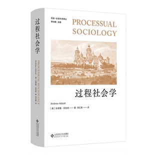 过程社会学 9787303269235 [美]安德鲁·阿伯特/著 周忆粟/译 历史-社会科学译丛 北京师范大学出版社 正版书籍