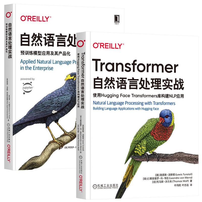 Transformer自然语言处理实战 使用Hugging Face Transformers库构建NLP应用+自然语言处理实战 预训练模型应用及其产品化 2册书