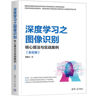 清华大学出版 言有三 社 全彩版 深度学之图像识别：核心算法与实战案例