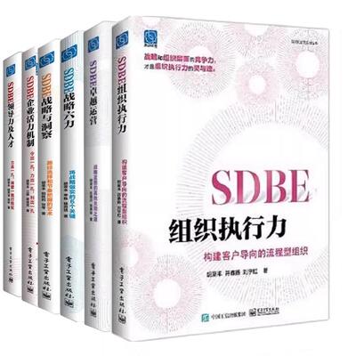【全6册】SDBE组织执行力+SDBE越运营+SDBE战略六力+SDBE战略与洞察+SDBE企业活力机制+SDBE领导力及人才 胡荣丰 企业经营书