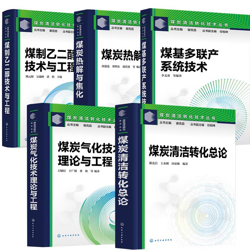 【全5册】煤炭清洁转化总论+煤基多联产系统技术+煤制乙二醇技术与工程+煤炭热解与焦化+煤炭气化技术 煤炭清洁转化技术丛书