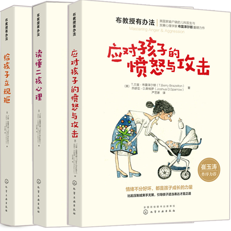 布教授有办法全套3册 应对孩子的愤怒与攻击 给孩子立规矩 读懂二孩