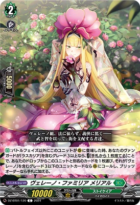 卡片诊所 VG C DZ-BT01 基元C卡合集