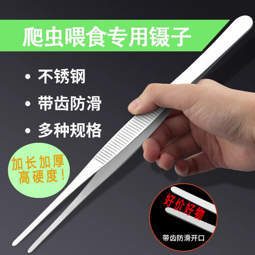 不锈钢镊子爬虫喂食镊子加长加厚