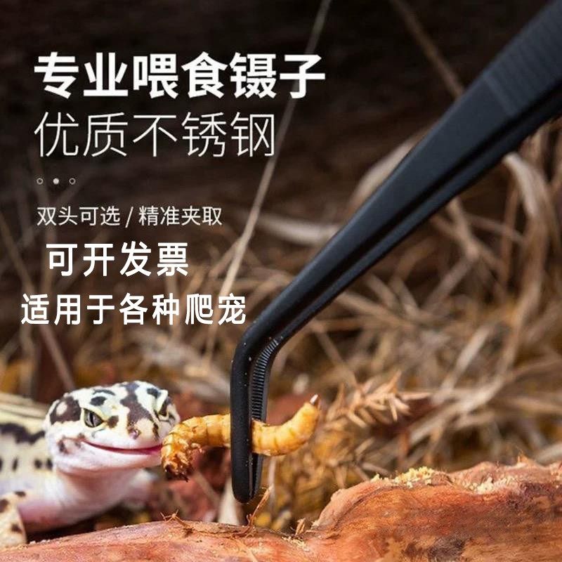 不锈钢镊子爬虫爬宠专用喂食镊子蜥蜴水龟蜘蛛蜈蚣宠物蛇直头弯头,居家布艺,镊子,淘宝优惠券,粉丝福利购,淘宝优惠卷