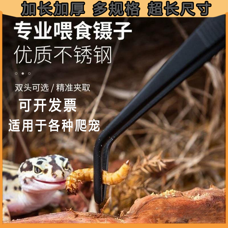 乌龟龙鱼喂食镊子不锈钢防锈