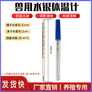 兽用水银体温计迅速测温高精度玻璃宠物猪牛羊温度计兽用测体温