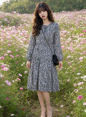 碎花雪纺中长款长袖连衣裙装A字