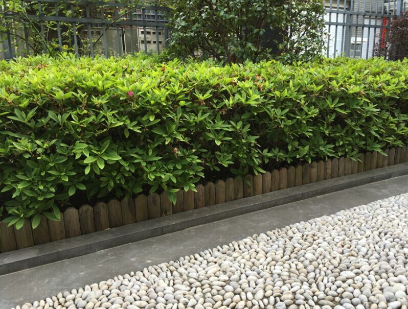 田园地面园桩连杭 碳化原木小栅栏  户外园艺装饰隔离带