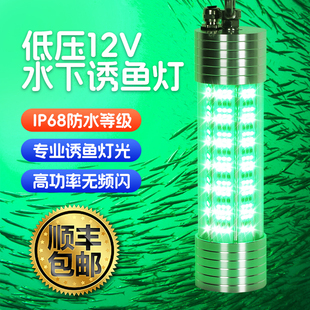 12V集鱼灯池沼公鱼水下诱鱼灯led水下照明水底灯带鱼鱿鱼电棒灯管