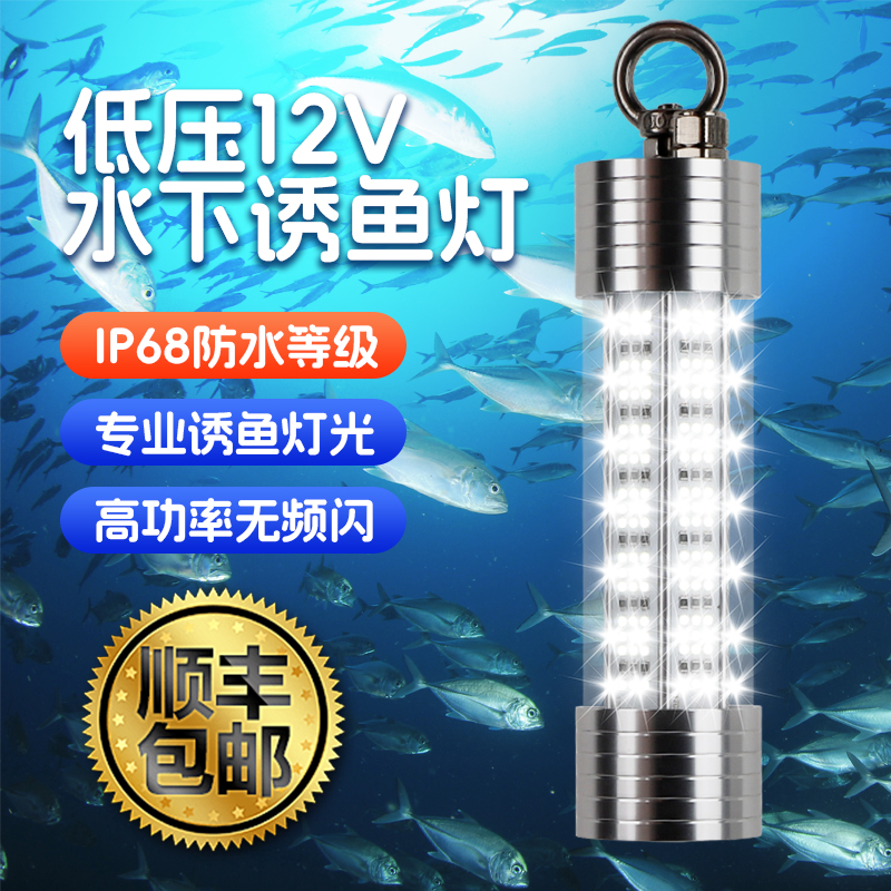 12V集鱼灯池沼公鱼水下诱鱼灯led水下照明水底灯带鱼鱿鱼玉米灯泡