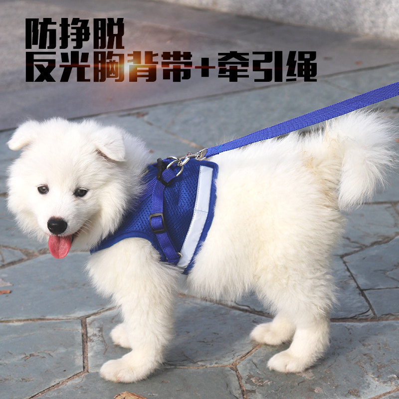 中型小型犬背心式牵引绳狗绳泰迪狗链子遛狗绳宠物胸背带狗狗用品