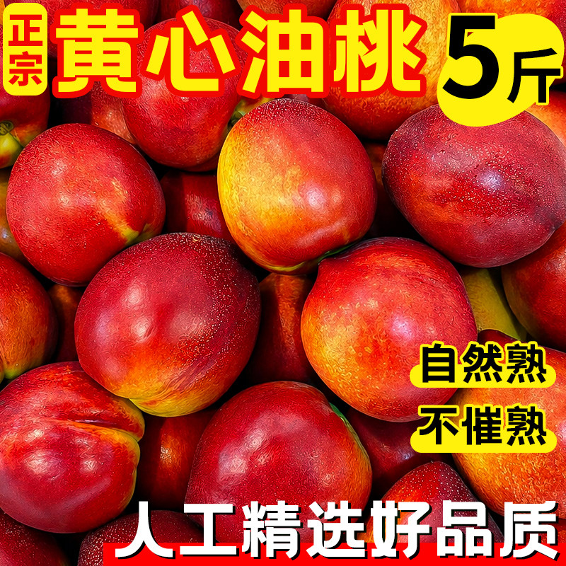 黄心油桃5斤大桃子水果新鲜当季整箱包邮应季水密桃孕妇蜜脆桃10