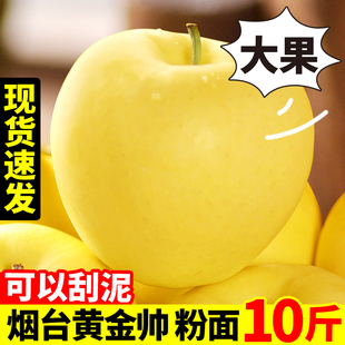 水果9斤黄蕉面烟台平安苹果整箱10 黄元 帅苹果新鲜金帅粉苹果当季