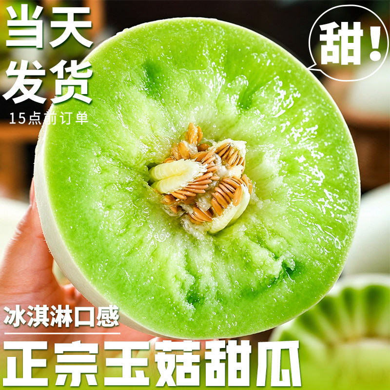 正宗冰淇淋玉菇甜瓜新鲜水果当季整箱甜瓜小香瓜脆甜小蜜瓜包邮10