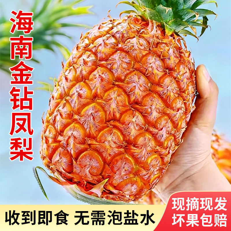 海南金钻凤梨新鲜水果鲜菠萝当季手撕正宗大果整箱特产黑钻包邮