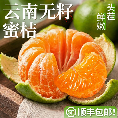 现货！26年新果正宗云南青皮蜜橘
