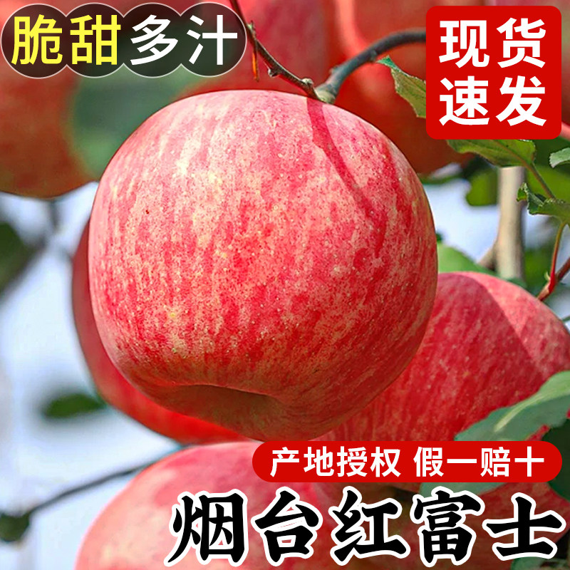 苹果水果新鲜正宗烟台红富士当季整箱山东栖霞脆甜丑果子包邮十斤
