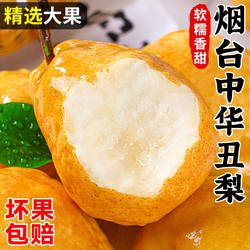 正宗烟台中华丑梨整箱软糯新鲜水果莱阳梨香甜山东太婆当季梨子