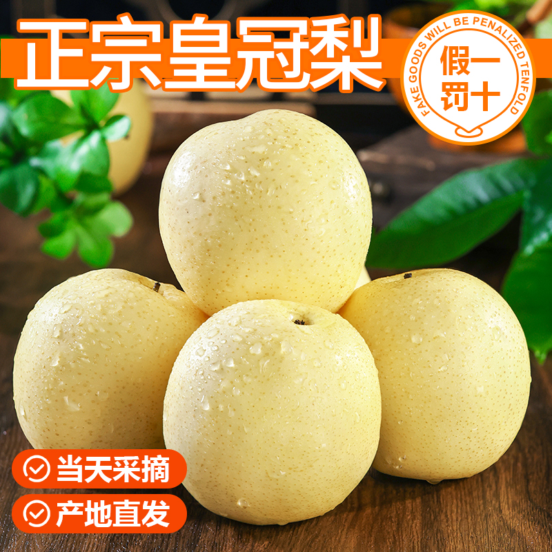 河北正宗皇冠梨新鲜发货纯甜无渣