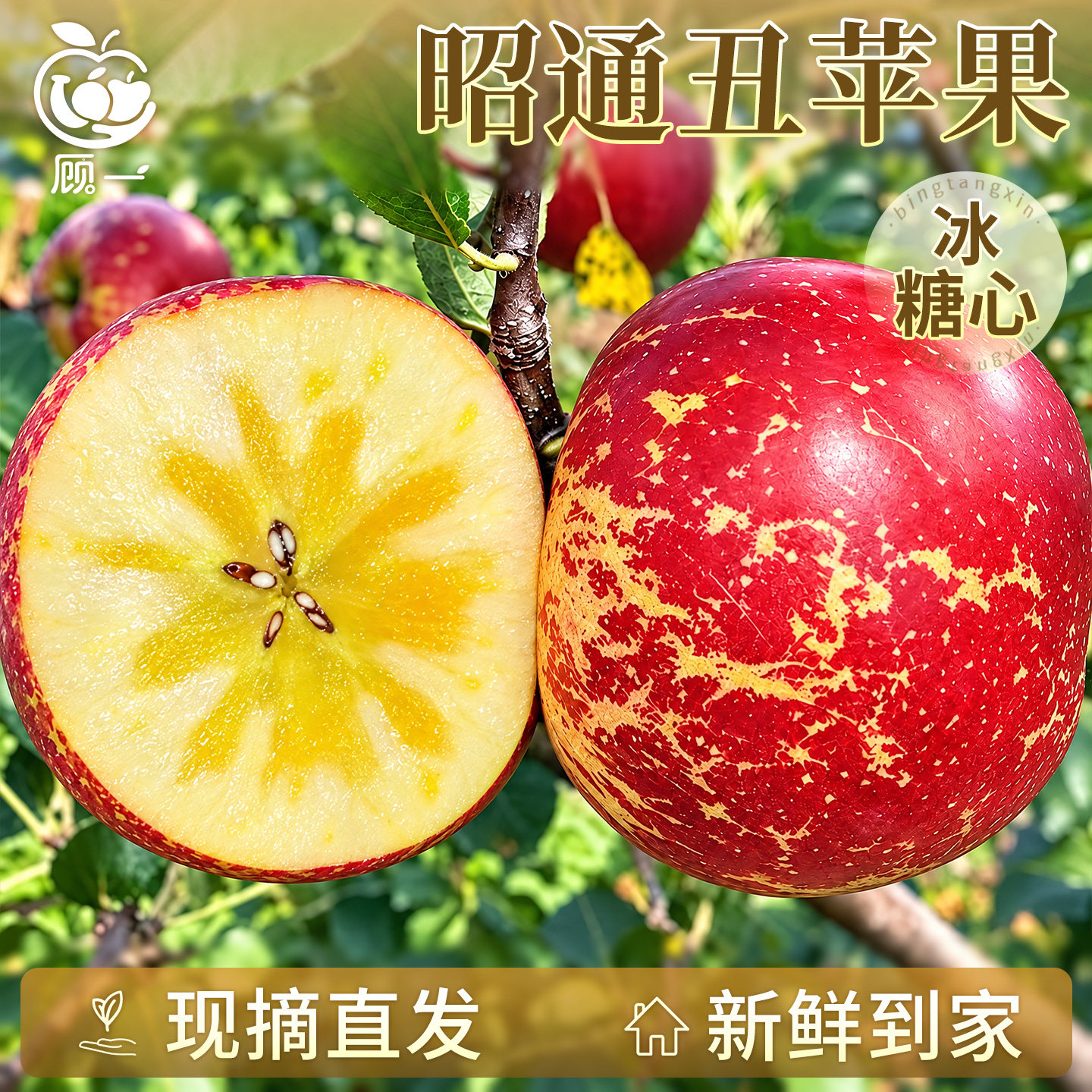 云南昭通丑苹果新鲜水果糖心特产时令当季整箱基地直销旗舰店应季