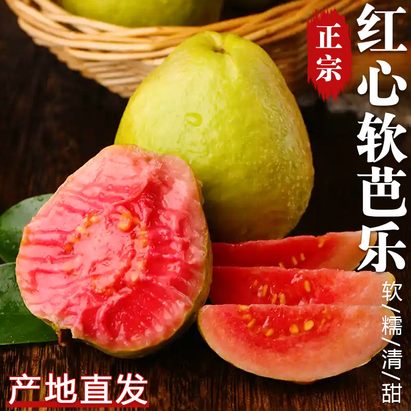 红心芭乐番石榴新鲜水果包邮芭乐果软糯胭脂红奶油口感低糖水果