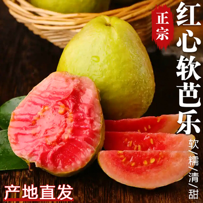 软糯红心芭乐包邮冰淇淋口感