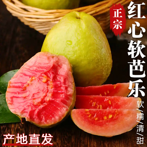 软糯红心芭乐包邮冰淇淋口感