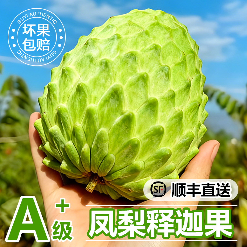 冰淇淋口感|冷链配送|牛奶释迦果