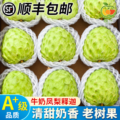 【顺丰冷链！】凤梨大目释迦果