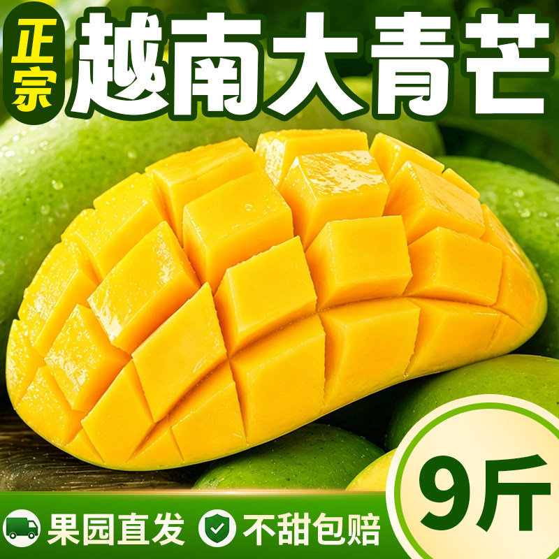 正宗越南大青芒当季新鲜水果青皮大芒果金玉煌芒应季一级特产
