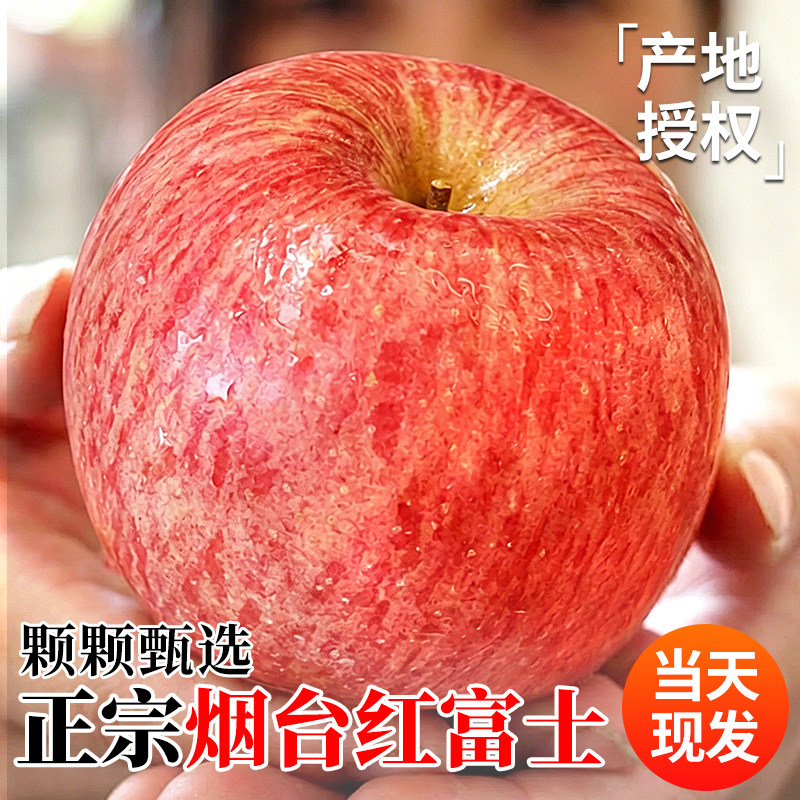 苹果水果新鲜正宗烟台红富士当季整箱山东栖霞脆甜丑果子包邮十斤