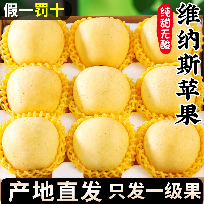 正宗维纳斯黄金苹果山东产地直发