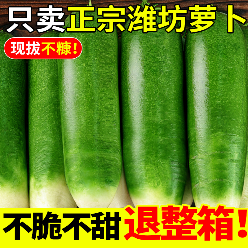 山东潍坊水果萝卜新鲜生吃脆甜