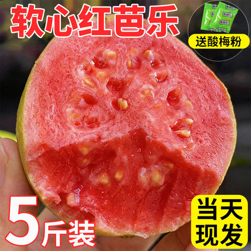 红白双拼芭乐任君挑选！