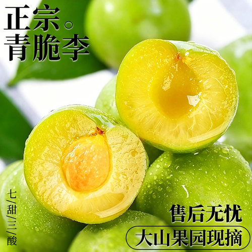 正宗青脆李现货速发新鲜