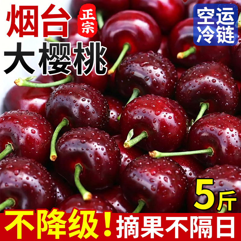山东烟台大樱桃国产车厘子新鲜水果当季大樱桃脆甜5斤空运冷链