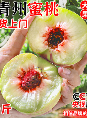 正宗青州蜜桃山东水蜜桃新鲜时令水果当季现摘整箱小脆桃送货上门