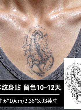 【4张】星盘蝎影纹身贴防水男持久高级感手臂手腕草本半永久刺青