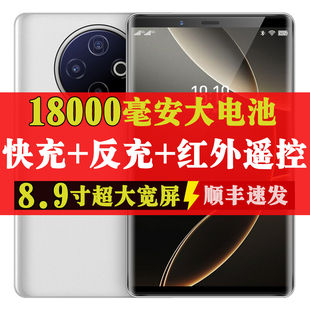 正品 8.9英寸大屏智能手机256G大内存全网通5G卡18000毫安大电池