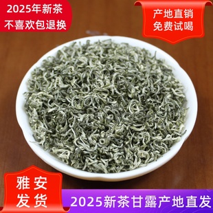 蒙顶甘露2025新茶雅安蒙顶山茶绿茶明前浓香型茶叶散装250g