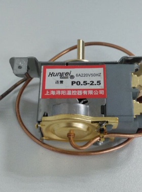 上海申安LDZH-200KBS立式压力蒸汽灭菌器配件压力温度控制器开关