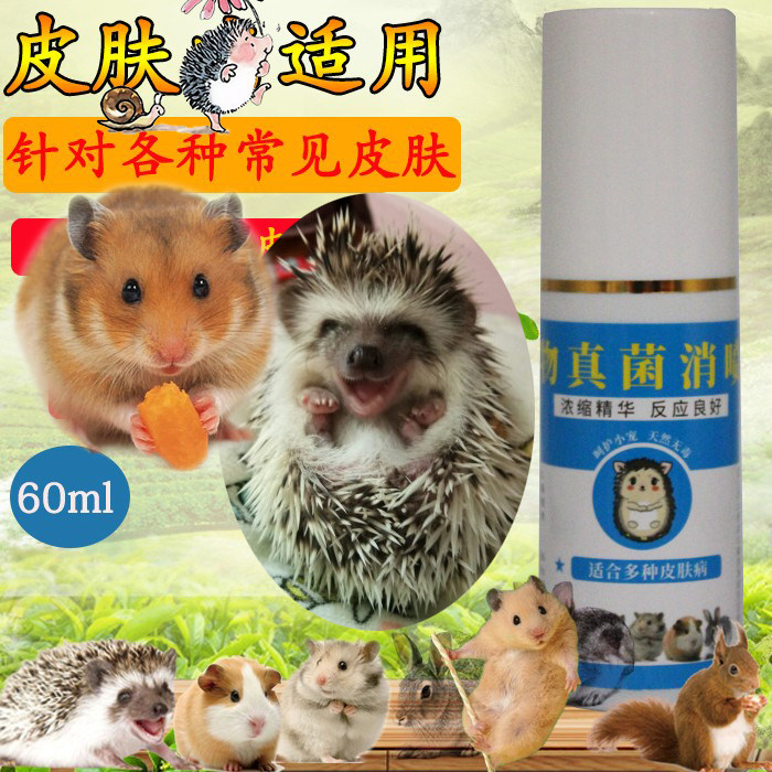 迷你刺猬仓鼠皮肤真菌消荷兰猪花枝鼠金丝熊蜜袋鼯掉毛厚皮皮肤康