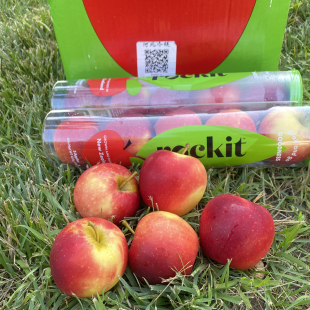 乐淇新西兰Rockit火箭苹果一筒5个350克进口樱桃小苹果新鲜整箱